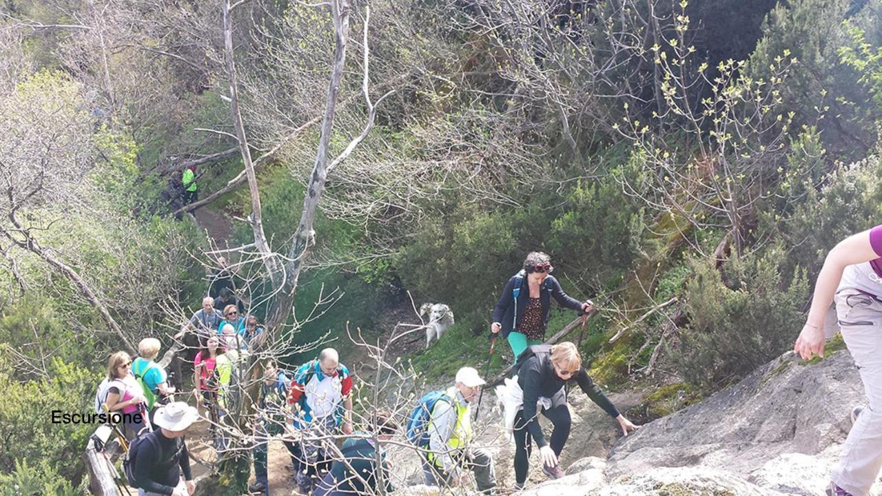 Corte Dei Sisanda1 Lägenhet Galzignano Terme Exteriör bild